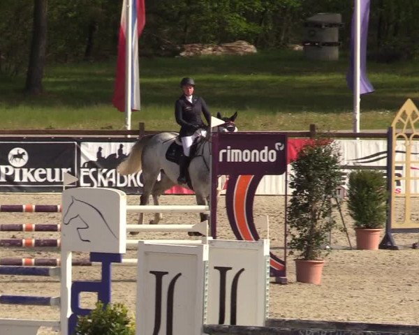 Reitturnier Westergellersen 2022