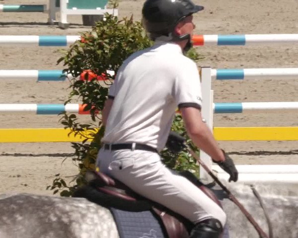 Reitturnier Tübingen 2022
