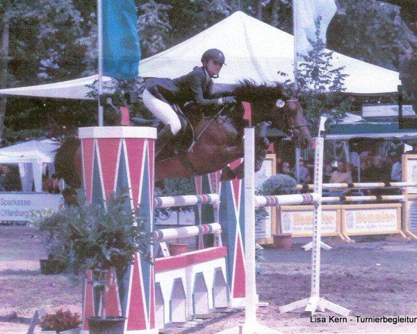 broodmare Golden Rock (German Riding Pony, 1990, from Jackets Goldfinch)