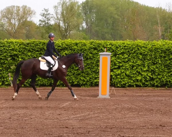 Reitturnier Lentzke - Reitanlage Krehl 2022