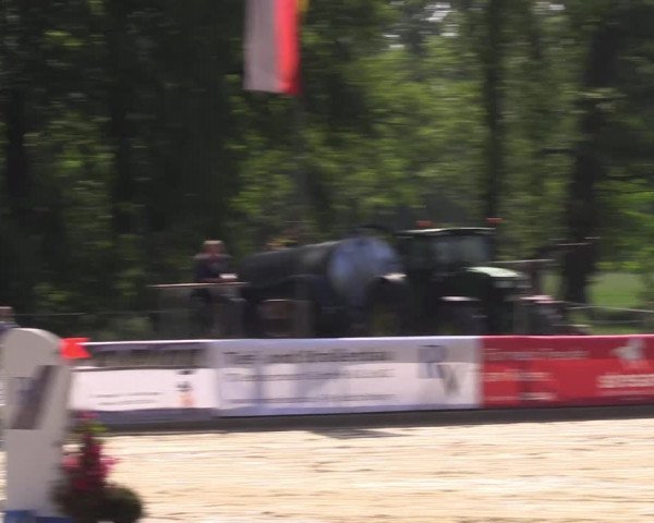 Reitturnier Rhede 2022
