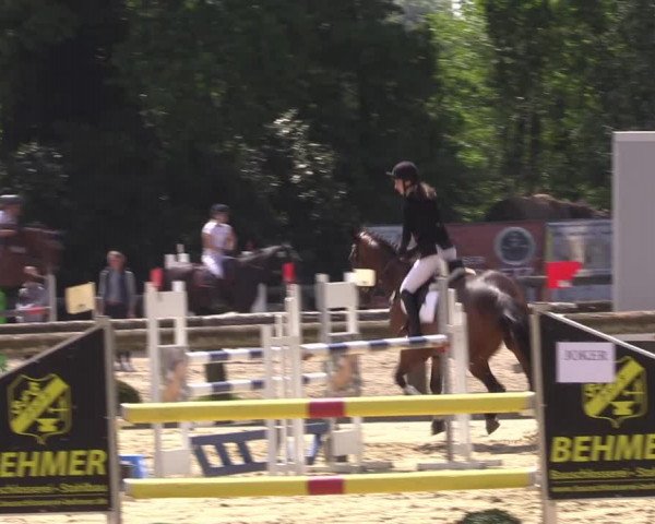 Reitturnier Rhede 2022