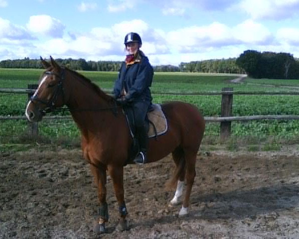 dressage horse Legolas E (Hanoverian, 2001, from Londonderry)