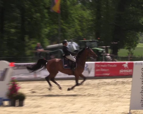 Reitturnier Rhede 2022