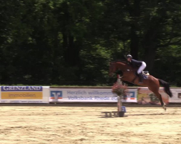 Reitturnier Rhede 2022