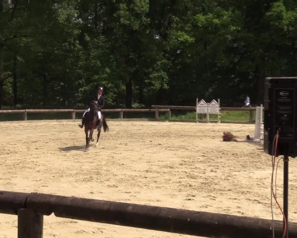 Reitturnier Rhede 2022