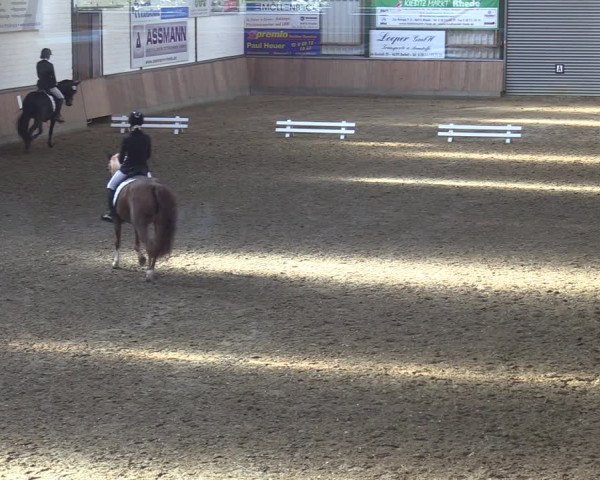 Reitturnier Rhede 2022