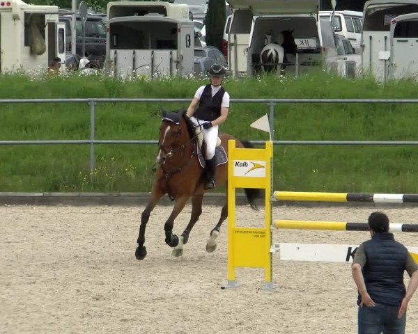 Reitturnier Werdenberg 2022