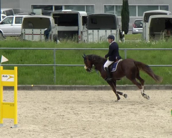 Reitturnier Werdenberg 2022