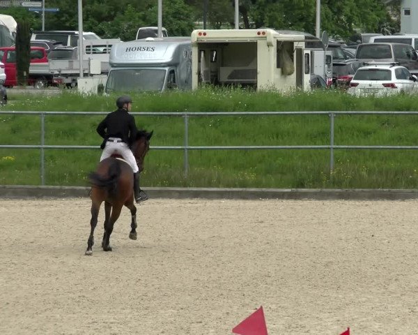 Reitturnier Werdenberg 2022