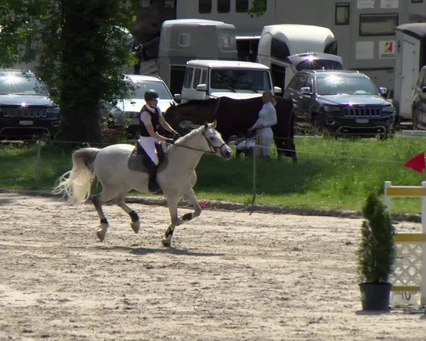 Reitturnier Basel Schänzli 2022