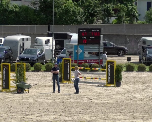 Reitturnier Basel Schänzli 2022