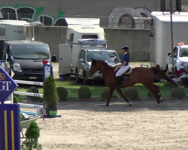 Reitturnier Basel Schänzli 2022