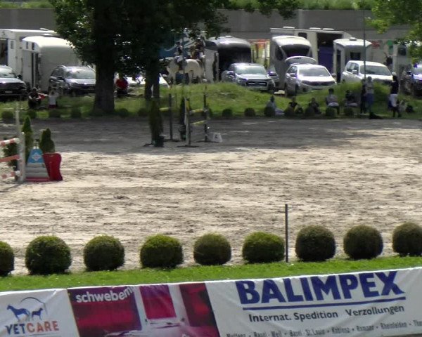 Reitturnier Basel Schänzli 2022
