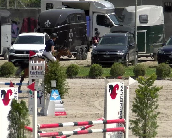 Reitturnier Basel Schänzli 2022