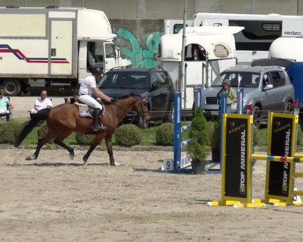 Reitturnier Basel Schänzli 2022