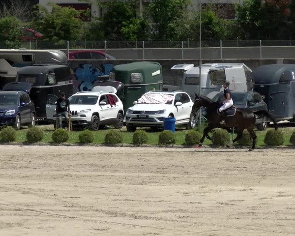 Reitturnier Basel Schänzli 2022