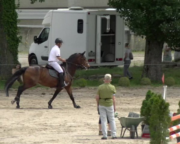 Reitturnier Basel Schänzli 2022