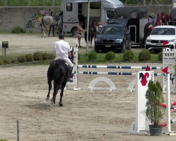 Reitturnier Basel Schänzli 2022