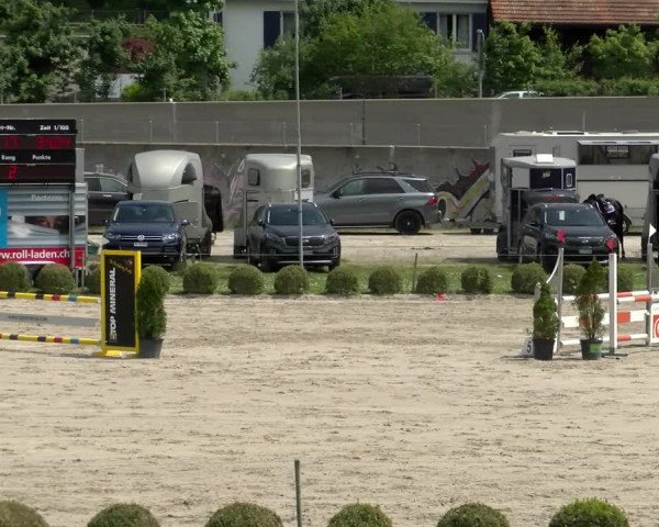 Reitturnier Basel Schänzli 2022