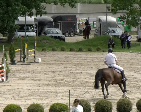 Reitturnier Basel Schänzli 2022