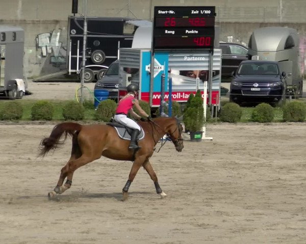 Reitturnier Basel Schänzli 2022