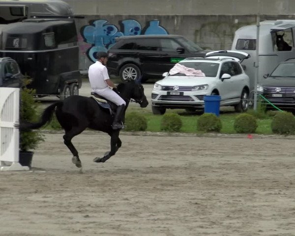 Reitturnier Basel Schänzli 2022