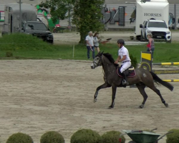 Reitturnier Basel Schänzli 2022