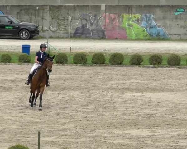 Reitturnier Basel Schänzli 2022