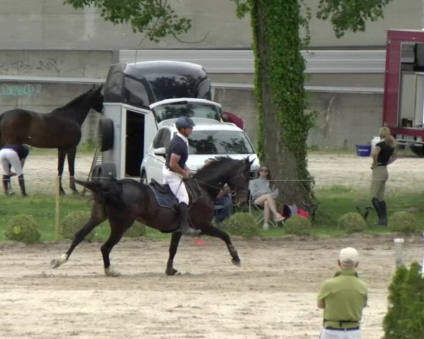 Reitturnier Basel Schänzli 2022