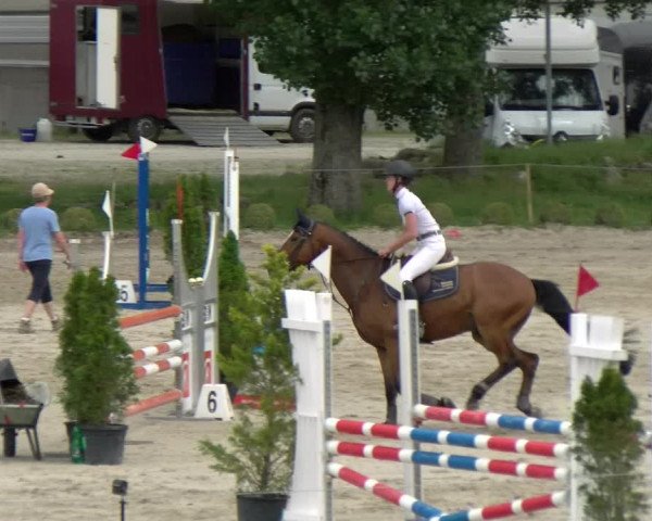 Reitturnier Basel Schänzli 2022