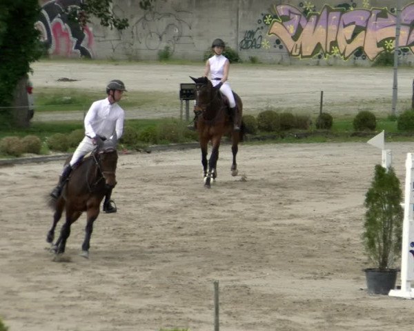 Reitturnier Basel Schänzli 2022