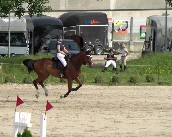 Reitturnier Basel Schänzli 2022