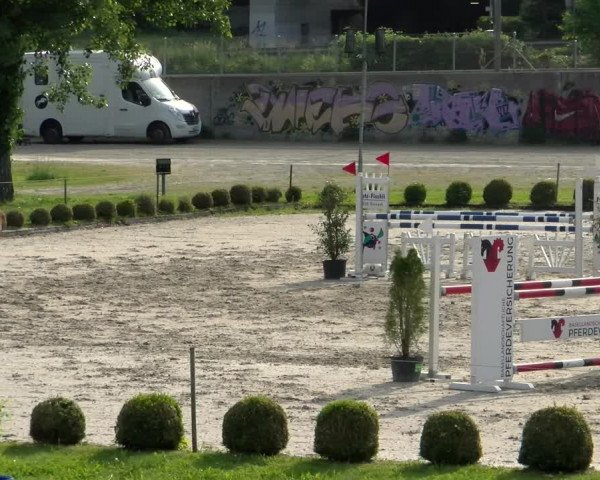 Reitturnier Basel Schänzli 2022