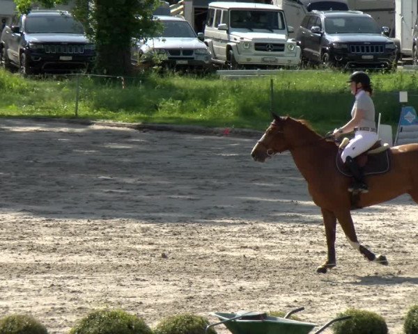 Reitturnier Basel Schänzli 2022