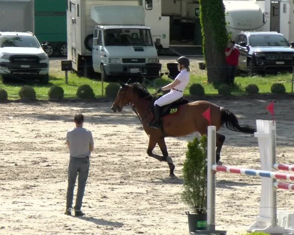 Reitturnier Basel Schänzli 2022