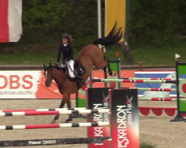 Reitturnier Westergellersen 2022