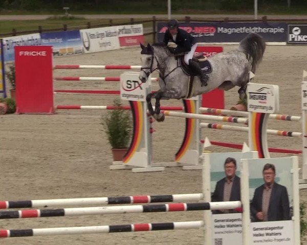 Reitturnier Westergellersen 2022