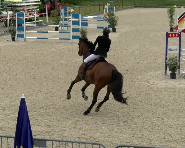 Reitturnier Werdenberg 2022
