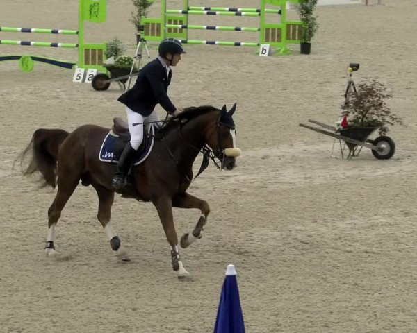 Reitturnier Werdenberg 2022