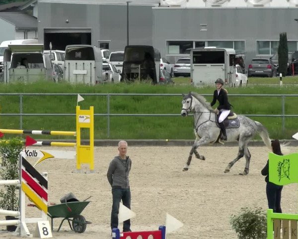 Reitturnier Werdenberg 2022