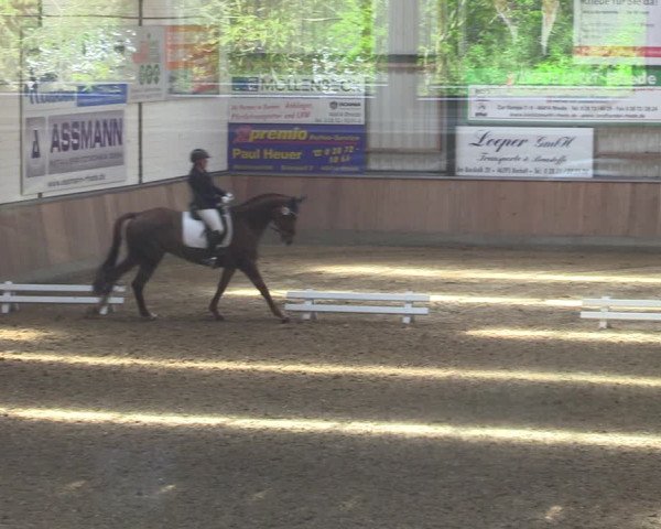 Reitturnier Rhede 2022