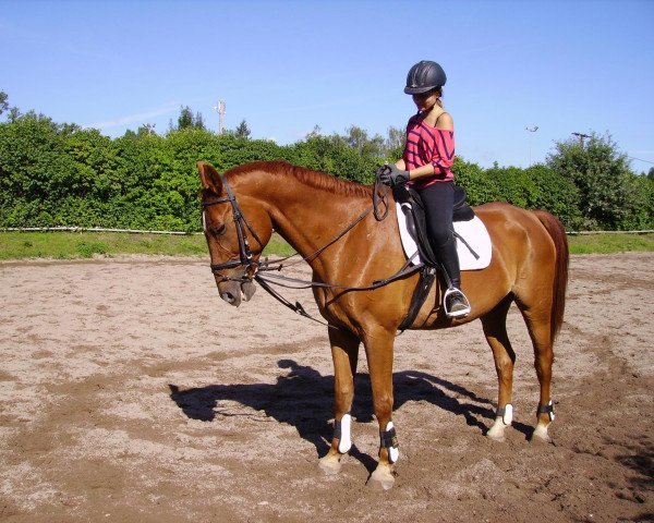 dressage horse Gerace Superieur (Zweibrücken, 1994, from Garant)