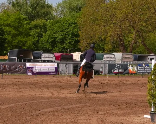 Reitturnier Lentzke - Reitanlage Krehl 2022