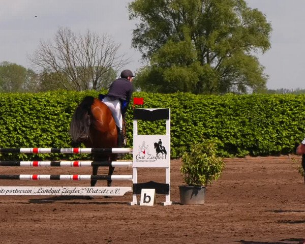 Reitturnier Lentzke - Reitanlage Krehl 2022