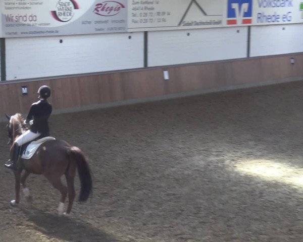 Reitturnier Rhede 2022