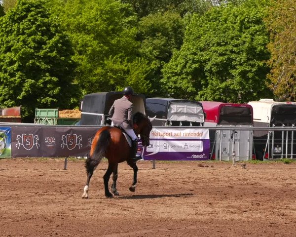 Reitturnier Lentzke - Reitanlage Krehl 2022