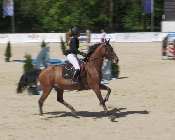 Reitturnier Karlsfeld/Obb. 2022