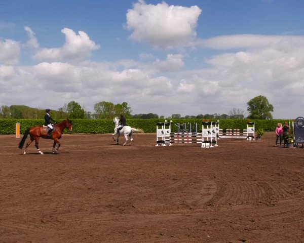Reitturnier Lentzke - Reitanlage Krehl 2022