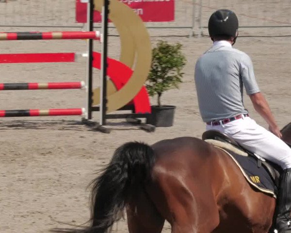 Reitturnier Tübingen 2022